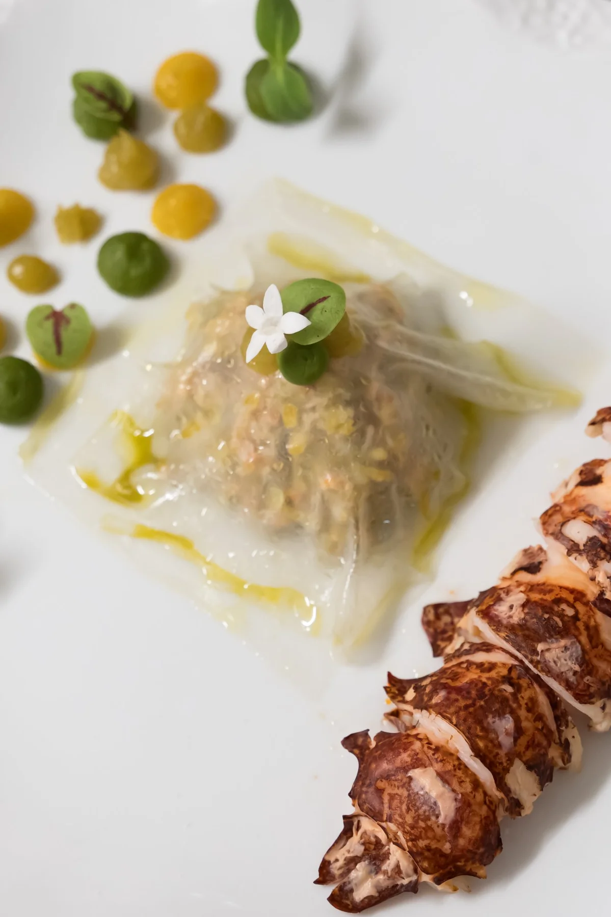 Photo culinaire langoustine dressage gastronomique fleur comestible