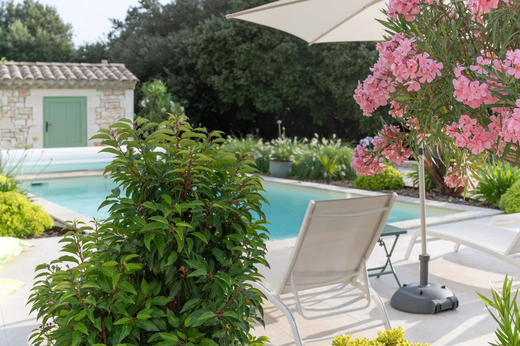 Transats au bord d'une piscine dans un jardin paysager