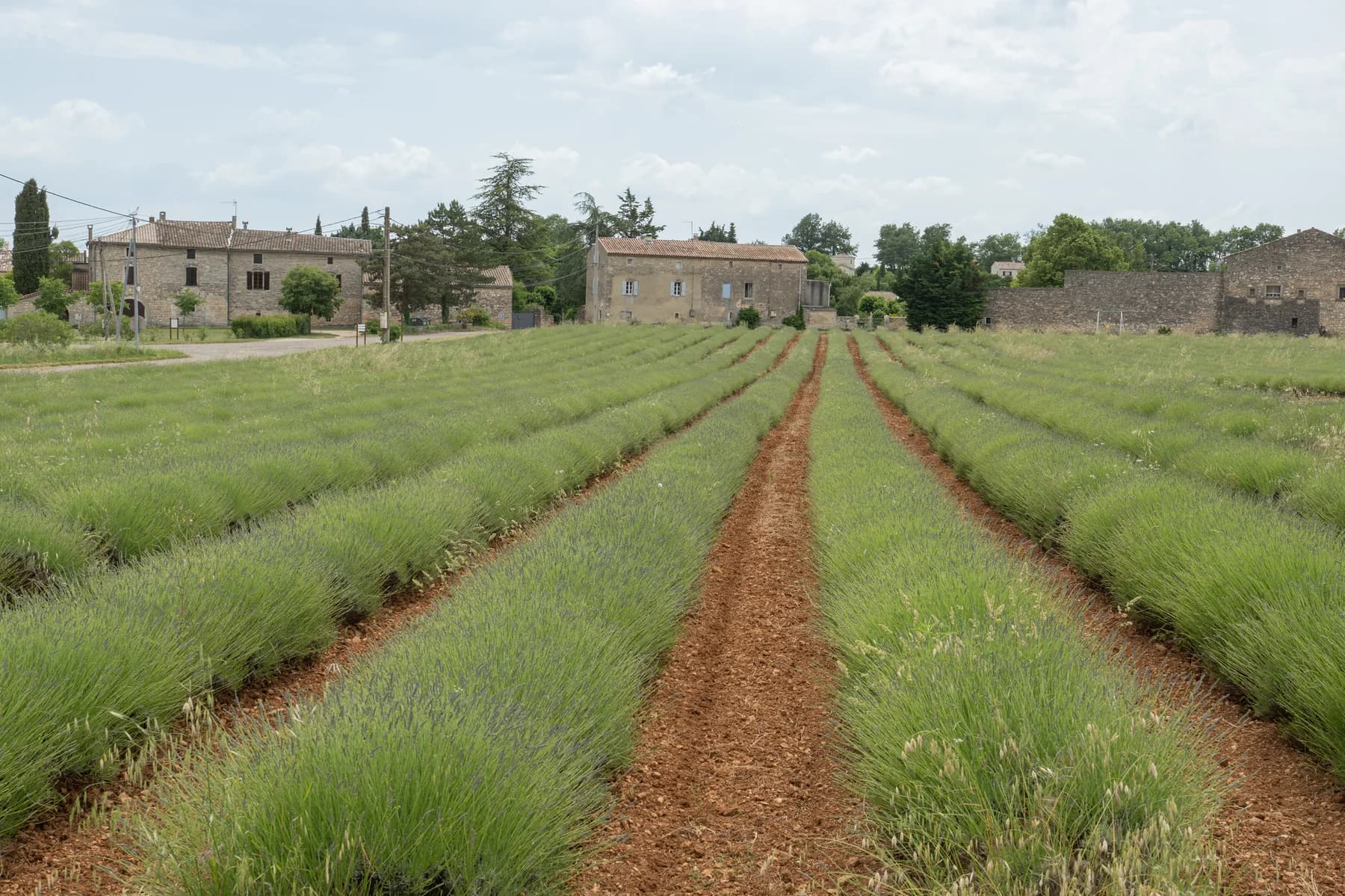 Photographe immobilier Aubenas — mas en pierre et champ de lavande en Ardèche