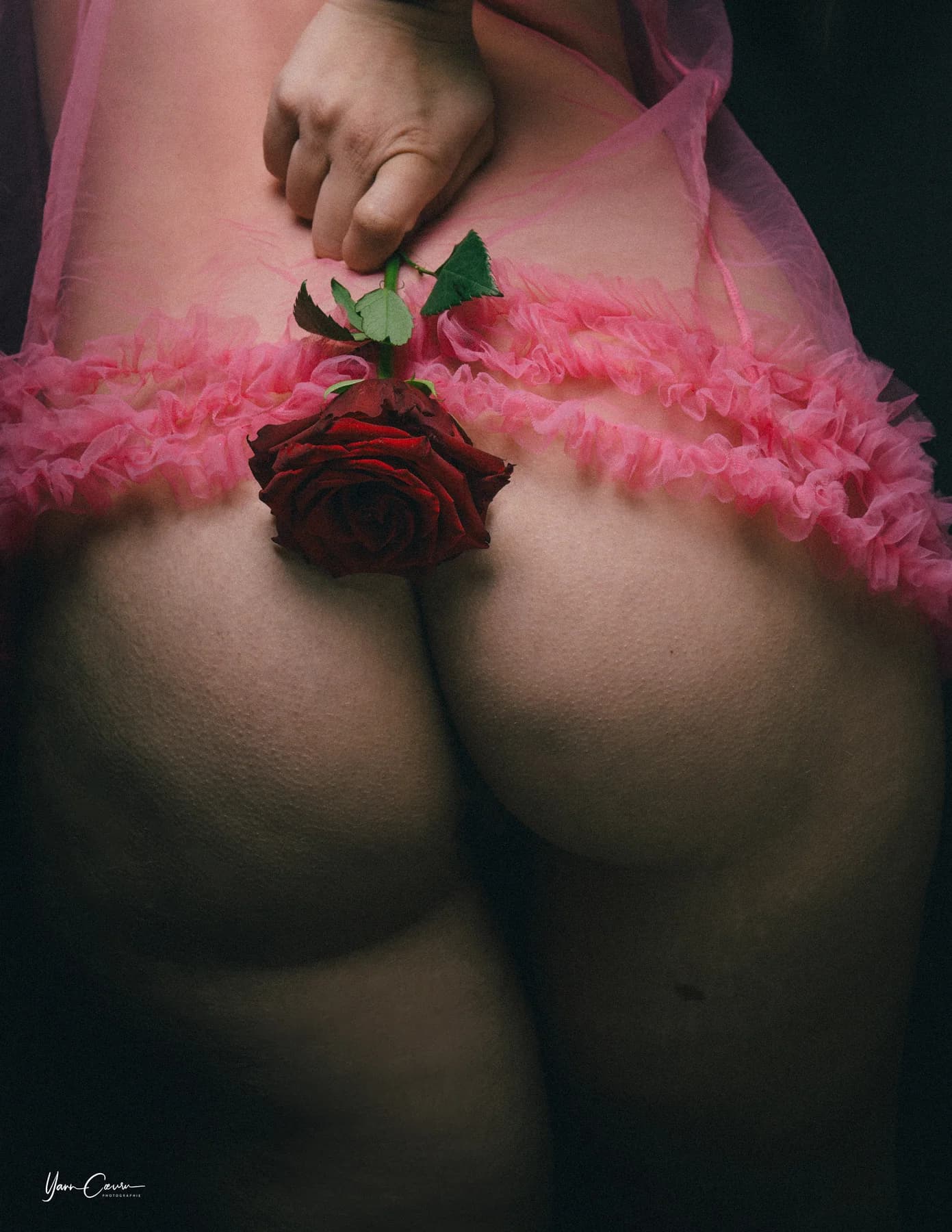 Femme en robe rose tulle tenant une rose rouge, boudoir intime en studio, lumière douce et sensuelle