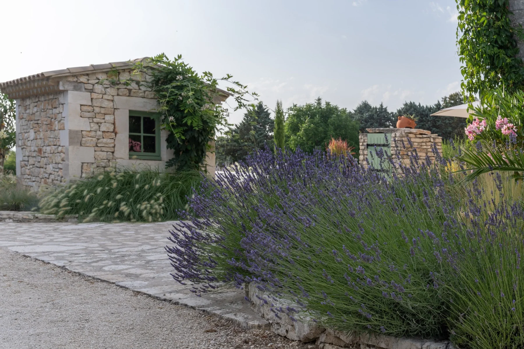 Lavande, cabanon et jardin provençal typique du Gard