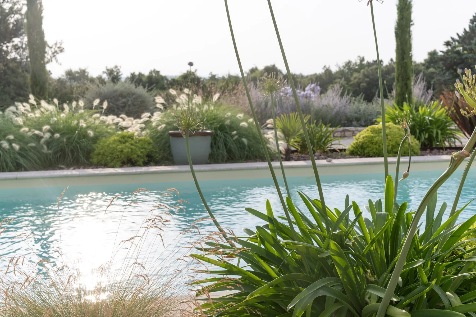 Végétation méditerranéenne et reflets sur piscine — Cévennes gardoises