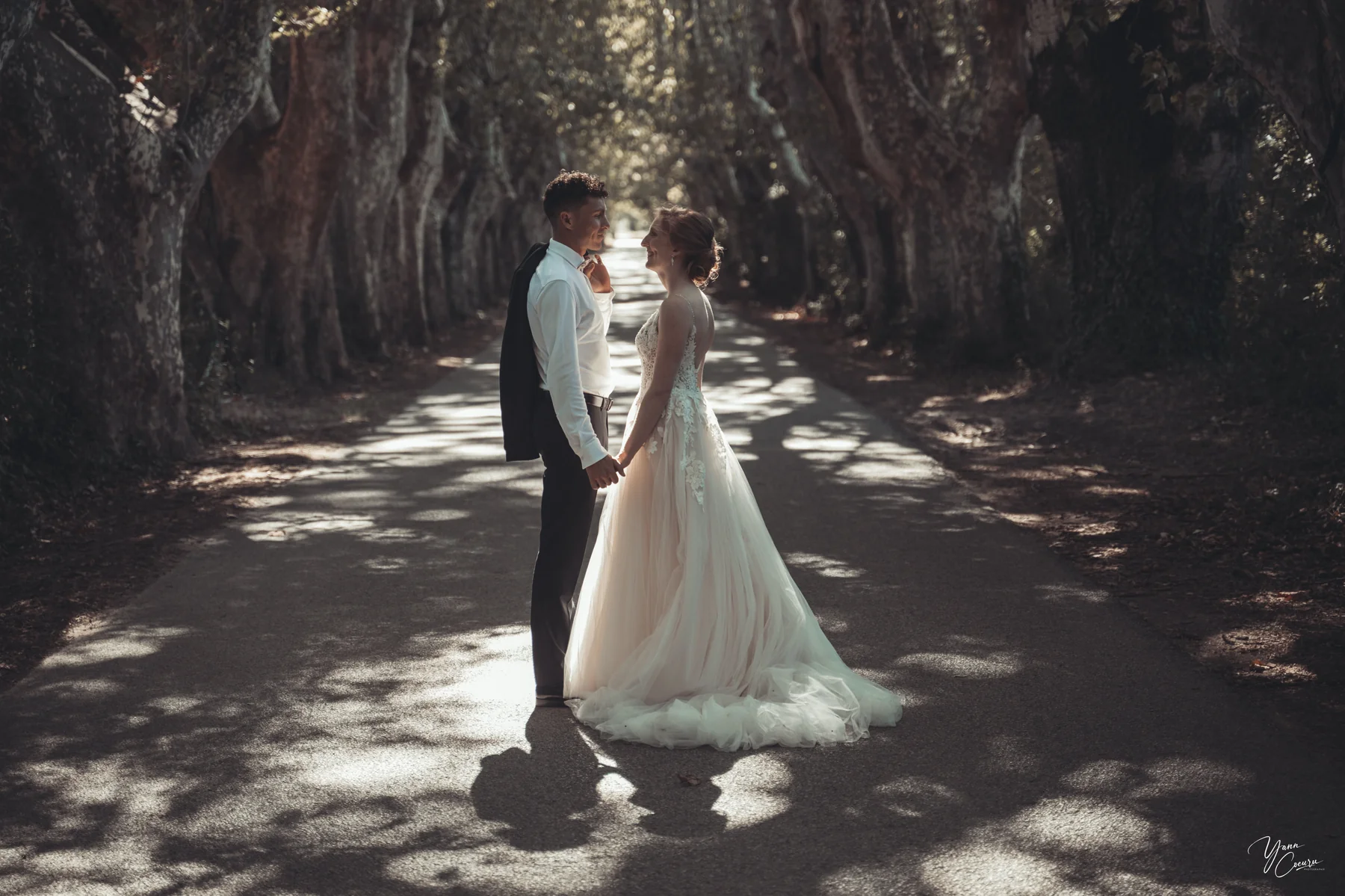 Mariés sous une voûte de platanes provençaux, séance couple lors d'un mariage en Vaucluse